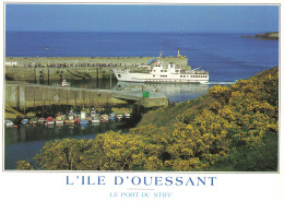 Delcampe - 29 L ILE DOUESSANT LE PORT DU STIFF - Ouessant
