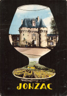 Delcampe - 17  JONZAC LE CHÂTEAU - Jonzac