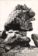Delcampe - 29 ILE DE SEIN LE SPHINX - Ile De Sein