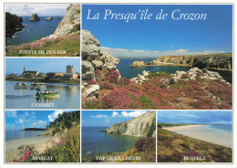 Delcampe - 29 PRESQU ILE DE CROZON - Crozon