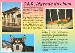 Delcampe - 40  DAX LA LEGENDE DU CHIEN DE DAX - Dax