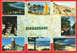 Delcampe - 40  BISCARROSSE - Biscarrosse