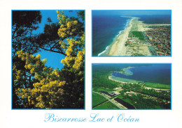 Delcampe - 40  BISCARROSSE - Biscarrosse