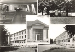 Delcampe - 61  SEES L ECOLE APOSTOLIQUE DE LA MISERICORDE - Sees