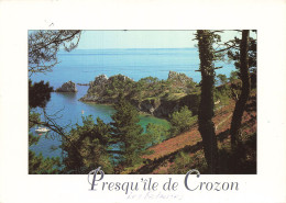 Delcampe - 29 MORGAT LES FALAISES - Morgat