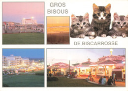 Delcampe - 40  BISCARROSSE LA PLAGE - Biscarrosse