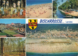 Delcampe - 40  BISCARROSSE - Biscarrosse