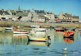 Delcampe - 29 ROSCOFF LE PORT - Roscoff