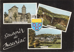 Delcampe - 15  MAURIAC - Mauriac