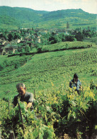 Delcampe - 39 ARBOIS - Arbois