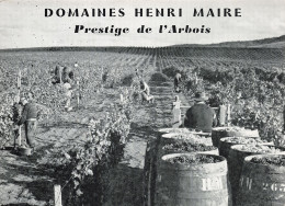 Delcampe - 39 ARBOIS DOMAINES HENRI MAIRE - Arbois