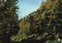 Delcampe - 39 MOREZ LE VIADUC - Morez