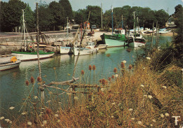 Delcampe - 17  LA TREMBLADE LE PORT DE PECHE - La Tremblade