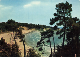 Delcampe - 17  MESCHERS LA PLAGE DE SUZAC - Meschers