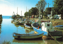 Delcampe - 17  MESCHERS LE PORT - Meschers