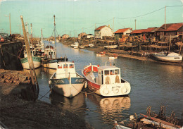 Delcampe - 17  LA TREMBLADE LE CHENAL - La Tremblade