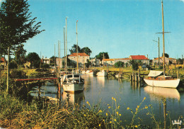 Delcampe - 17  LA TREMBLADE LE PORT - La Tremblade
