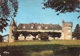 Delcampe - 17  JONZAC LE CHÂTEAU DE DIXMERIE - Jonzac
