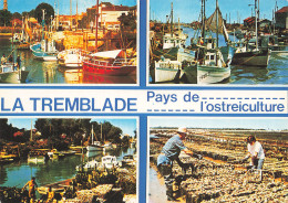 Delcampe - 17  LA TREMBLADE - La Tremblade