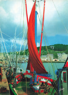 Delcampe - 29 AUDIERNE LE PORT DE PECHE - Audierne