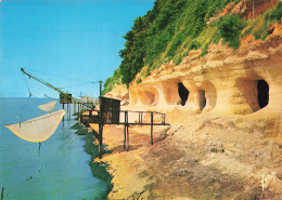 Delcampe - 17  MESCHERS LES GROTTES - Meschers