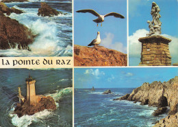 Delcampe - 29 PLOGOFF LA POINTE DU RAZ - Plogoff