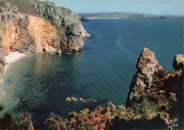 Delcampe - 29 MORGAT LES FALAISES - Morgat