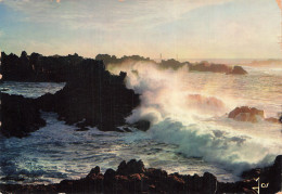 Delcampe - 29 OUESSANT TEMPETE EN MER - Ouessant