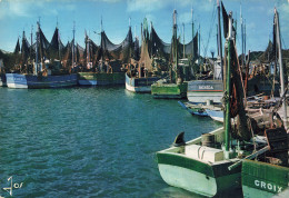 Delcampe - 29 LOCTUDY LE PORT LES BATEAUX - Loctudy