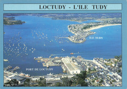 Delcampe - 29 LOCTUDY - Loctudy