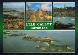 Delcampe - 29 CARANTEC - Carantec