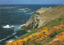 Delcampe - 29 PLOGOFF LA POINTE DU RAZ - Plogoff