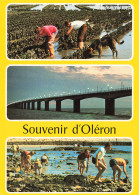 Delcampe - 17  L ILE D OELRON - Ile D'Oléron