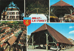 Delcampe - 91 MILLY LA FORET LES HALLES - Milly La Foret