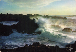 Delcampe - 29 OUESSANT - Ouessant