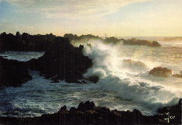 Delcampe - 29 OUESSANT - Ouessant
