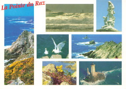 Delcampe - 29 PLOGOFF LA POINTE DU RAZ - Plogoff