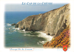 Delcampe - 29 PRESQU ILE DE CROZON LE CAP DE LA CHEVRE - Crozon