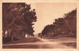 Delcampe - 44  THARON PLAGE L AVENUE DANS LES PINS - Tharon-Plage