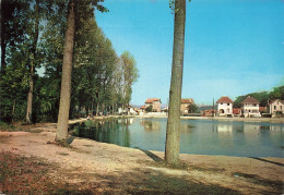 Delcampe - 92 CHAVILLE ETANG DES ECREVISSES - Chaville