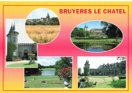 Delcampe - 91 BRUYERES LE CHATEL - Bruyeres Le Chatel