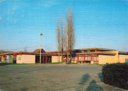 Delcampe - 91 CHAMPCUEIL MAIRIE ET FOYER RURAL - Sonstige & Ohne Zuordnung