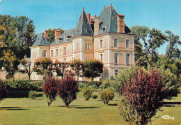 Delcampe - 91 CERNY LE CHÃ‚TEAU DE VILLIERS - Sonstige & Ohne Zuordnung