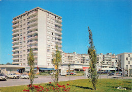 Delcampe - 91 SAINT MICHEL SUR ORGE LE BOIS DES ROCHES - Saint Michel Sur Orge