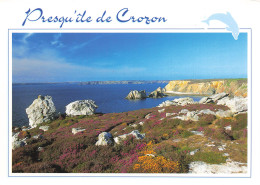 Delcampe - 29 PRESQU ILE DE CROZON - Crozon