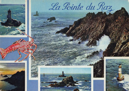 Delcampe - 29 PLOGOFF LA POINTE DU RAZ - Plogoff