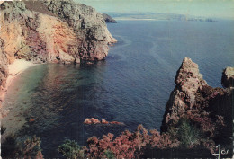 Delcampe - 29 MORGAT LES FALAISES - Morgat