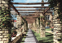 Delcampe - 76 BARENTIN LA PERGOLA - Barentin
