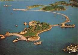 Delcampe - 22 PENVENAN L ILE ILLIEC ET BUGUELES - Penvénan