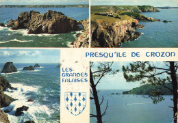 Delcampe - 29 PRESQU ILE DE CROZON LES GRANDES FALAISES - Crozon